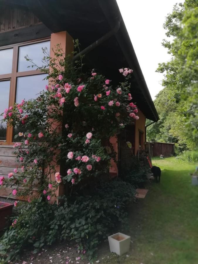 Il Pettirosso Di Giusvalla Eksteriør billede